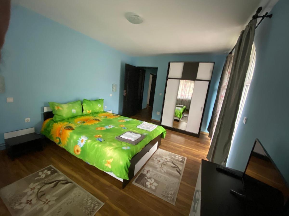 Casa Cristalina&Dumi Guest House Albac Ngoại thất bức ảnh