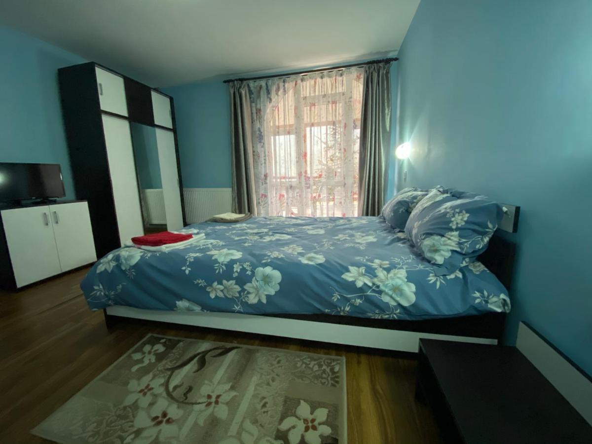 Casa Cristalina&Dumi Guest House Albac Ngoại thất bức ảnh