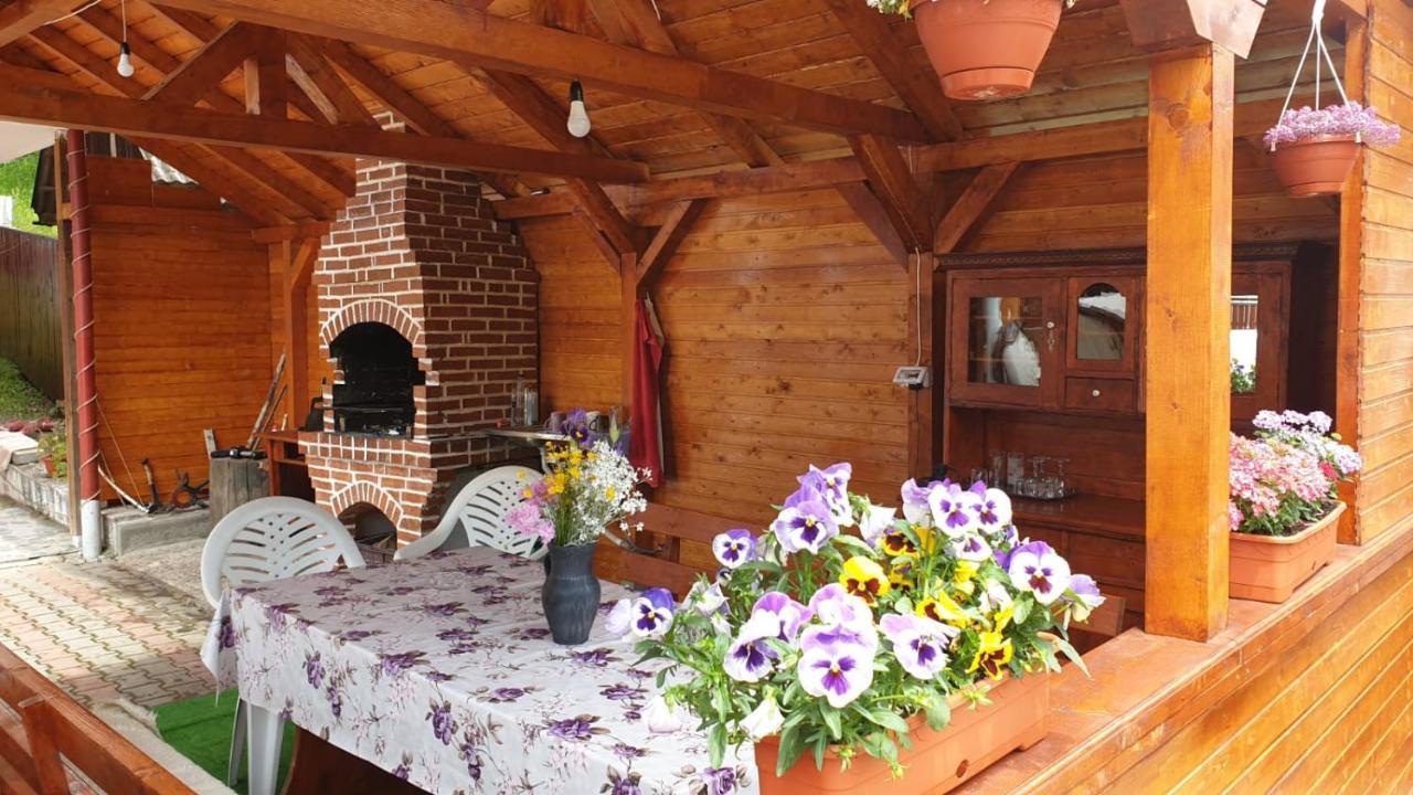 Casa Cristalina&Dumi Guest House Albac Ngoại thất bức ảnh