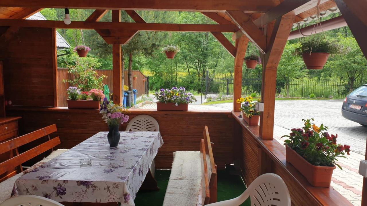 Casa Cristalina&Dumi Guest House Albac Ngoại thất bức ảnh