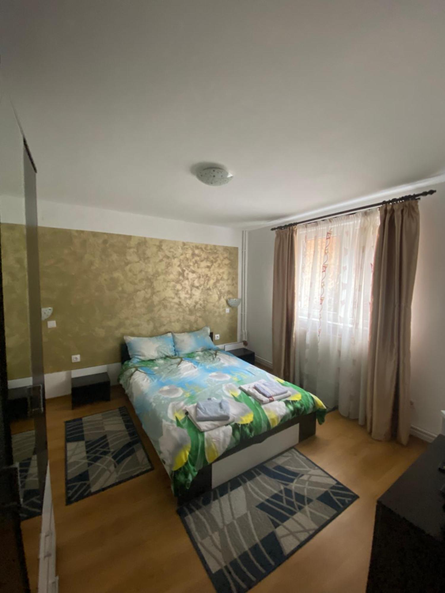 Casa Cristalina&Dumi Guest House Albac Ngoại thất bức ảnh