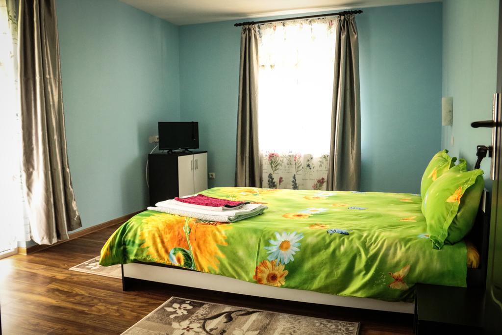 Casa Cristalina&Dumi Guest House Albac Ngoại thất bức ảnh